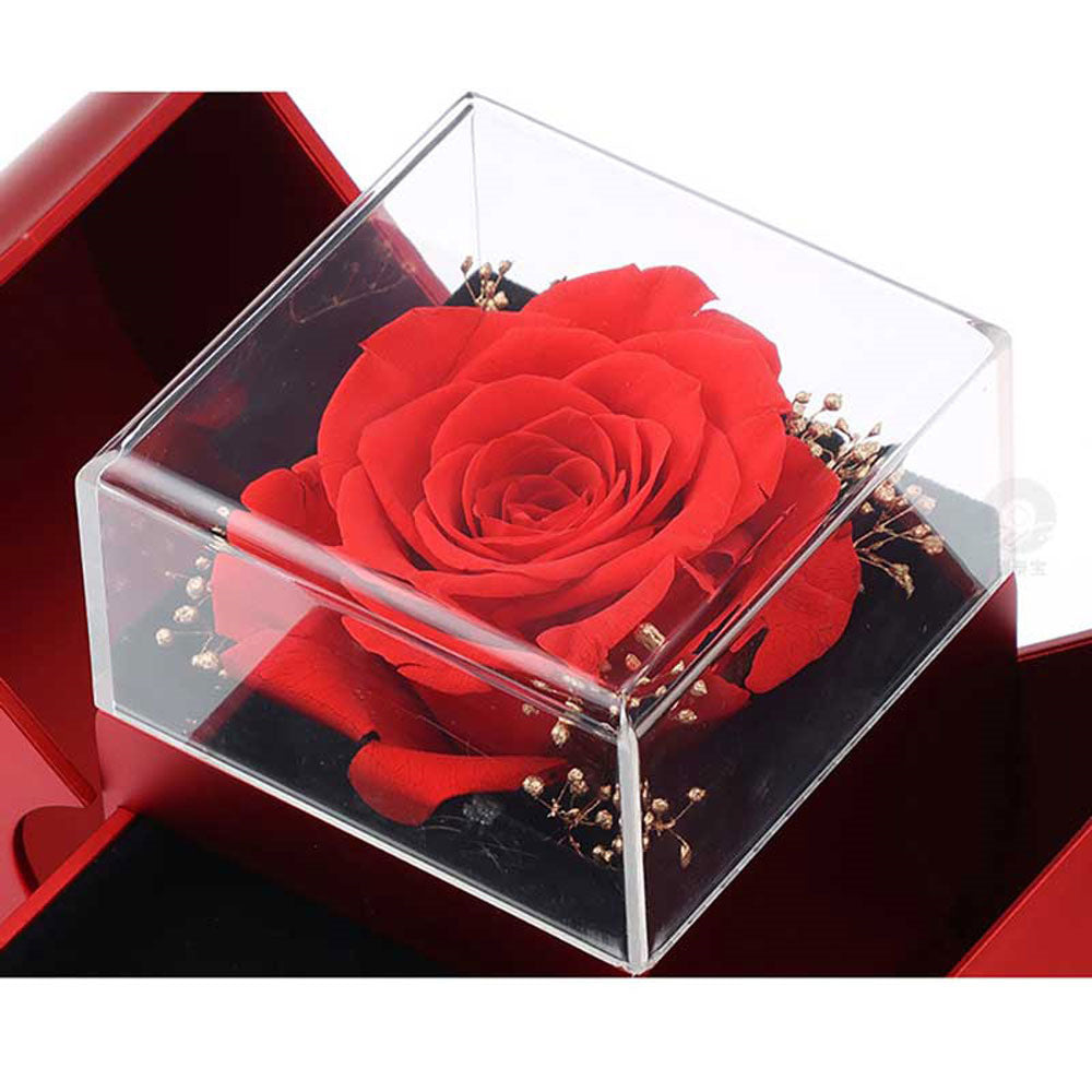 Red rose in a transparent box with a red base